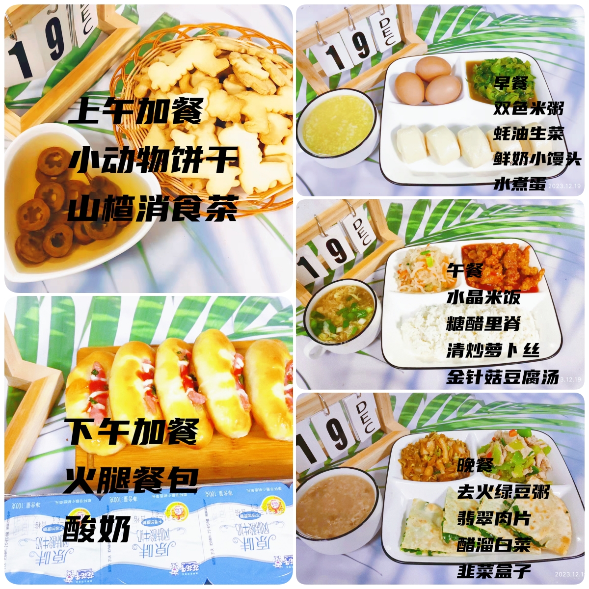 每日餐饮2023.12.19
