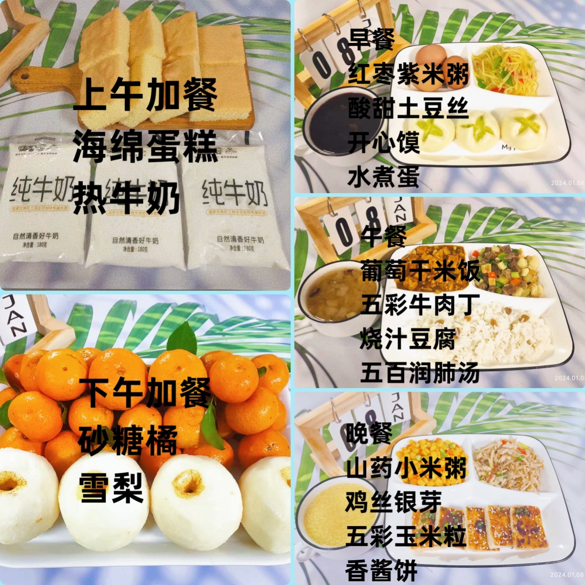 每日餐饮2024.1.8