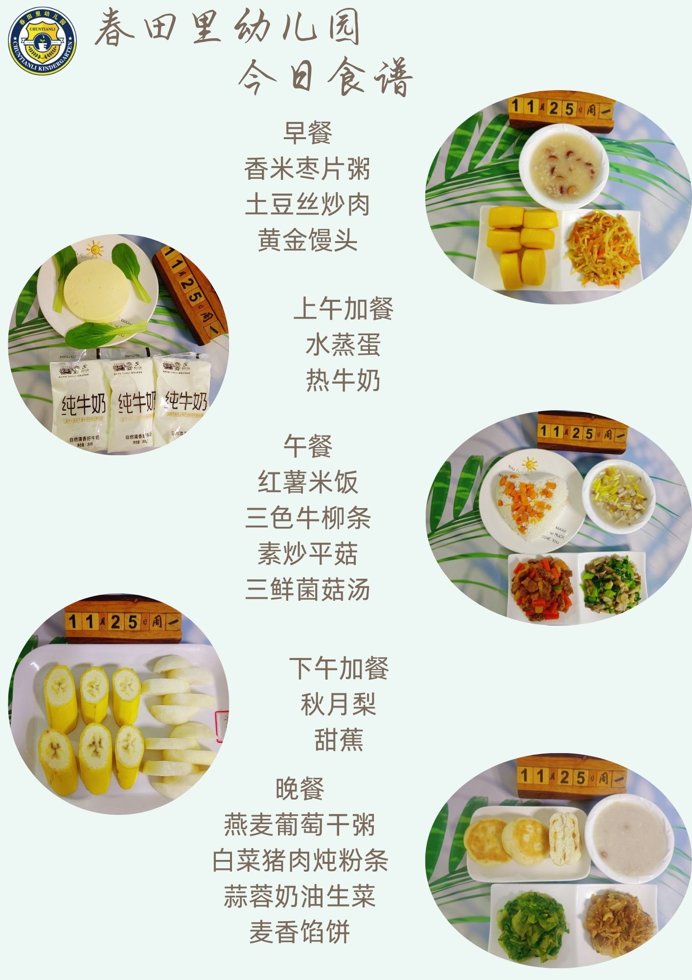 每日餐饮2024.11.25